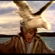 The Birds